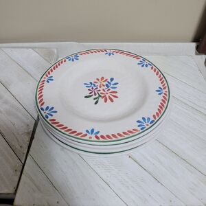 Plastic Plates (set of four)